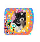 ポン〜ポンポン（個別スタンプ：5）