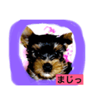 ポン〜ポンポン（個別スタンプ：7）