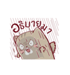 Meaw Music（個別スタンプ：22）