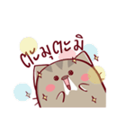 Meaw Music（個別スタンプ：38）