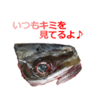 魚のアラ（個別スタンプ：3）