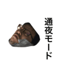 僕らの毎日ニ（個別スタンプ：11）