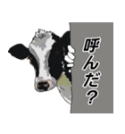 zooでジー…（個別スタンプ：2）