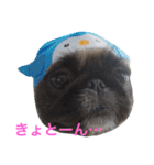 ぼん蔵（個別スタンプ：14）