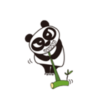 Angry Face Panda（個別スタンプ：40）