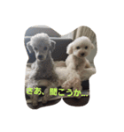 ポラリス＆サラン2（個別スタンプ：2）