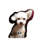 ポラリス＆サラン2（個別スタンプ：5）