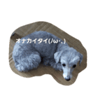 ポラリス＆サラン2（個別スタンプ：7）