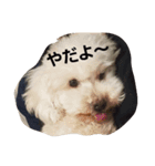 ポラリス＆サラン2（個別スタンプ：8）