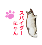 わさびスタンプつー！（個別スタンプ：32）