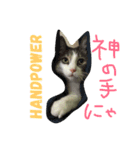 わさびスタンプつー！（個別スタンプ：37）