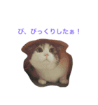わさびスタンプつー！（個別スタンプ：38）