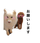 キャンモカ ときどき ホクト（個別スタンプ：3）