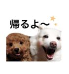 キャンモカ ときどき ホクト（個別スタンプ：9）