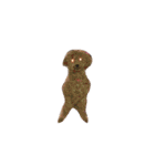 キャンモカ ときどき ホクト（個別スタンプ：26）