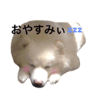 キャンモカ ときどき ホクト（個別スタンプ：27）