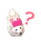 キャンモカ ときどき ホクト（個別スタンプ：30）