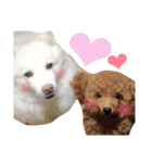 キャンモカ ときどき ホクト（個別スタンプ：32）