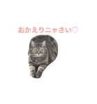 こたまさんの日常（個別スタンプ：4）
