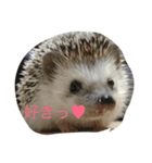 我が家のかわいこちゃん（個別スタンプ：4）