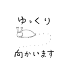 ゴマダラチョウ（個別スタンプ：23）