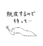 ゴマダラチョウ（個別スタンプ：27）