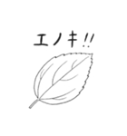 ゴマダラチョウ（個別スタンプ：40）