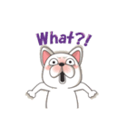 Bert the french bulldog 3（個別スタンプ：24）