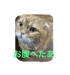 まーくん。（個別スタンプ：3）