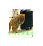 まーくん。（個別スタンプ：4）
