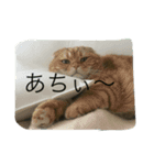 まーくん。（個別スタンプ：7）