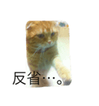 まーくん。（個別スタンプ：8）
