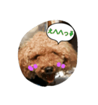 ししまる3（個別スタンプ：14）