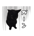 猫に萌える日常（個別スタンプ：20）
