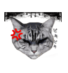 猫に萌える日常（個別スタンプ：23）