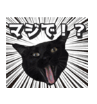 猫に萌える日常（個別スタンプ：24）