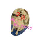 俺印（個別スタンプ：13）