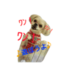 俺印（個別スタンプ：16）