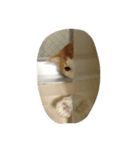 うんと一緒（個別スタンプ：3）