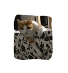 うんと一緒（個別スタンプ：4）