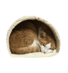 うんと一緒（個別スタンプ：8）