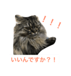 ヒバです3（個別スタンプ：2）