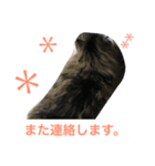 ヒバです3（個別スタンプ：8）