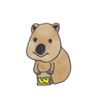 Kawaii Quokka : Coca's Daily work（個別スタンプ：5）