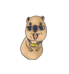 Kawaii Quokka : Coca's Daily work（個別スタンプ：8）