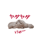 猫のエルマー（個別スタンプ：23）