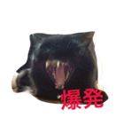 吉田ククさん（個別スタンプ：4）