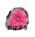 お花たちの日常（個別スタンプ：1）