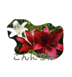 お花たちの日常（個別スタンプ：2）