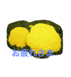 お花たちの日常（個別スタンプ：3）